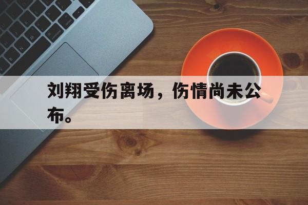 开云手机平台-刘翔受伤离场,伤情尚未公布。